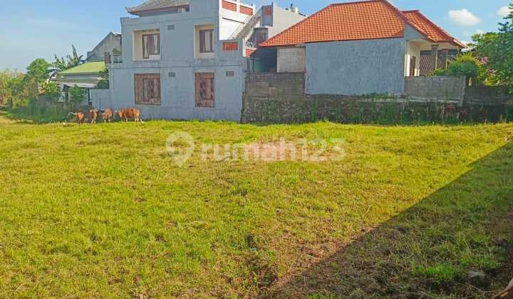 Tanah Strategis Cocok untuk Villa di Padonan Canggu