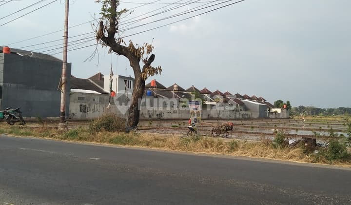 Tanah Murah Lahan Kuning Lokasi Strategis