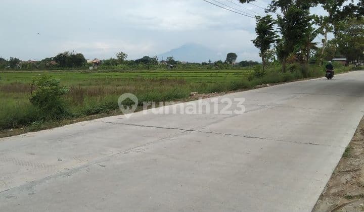 Tanah Pekarangan Murah Lokasi Strategis di Donohudan