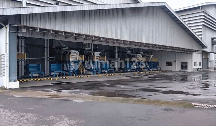 Active Rice Mill Including Machines and Large Warehouse