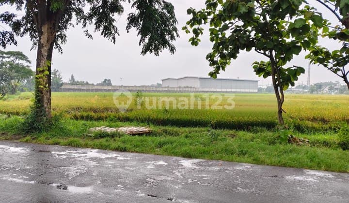 Tanah Murah Cocok Untuk Industri Dan Gudang Dekat Exit Tol