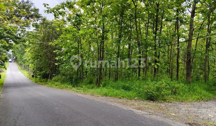 Tanah Murah Cocok Untuk Industri Dan Perkebunan Dekat Exit Tol