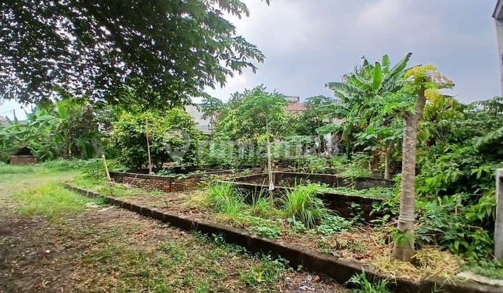 Kavling luas Tanah Kramat Jati Strategis