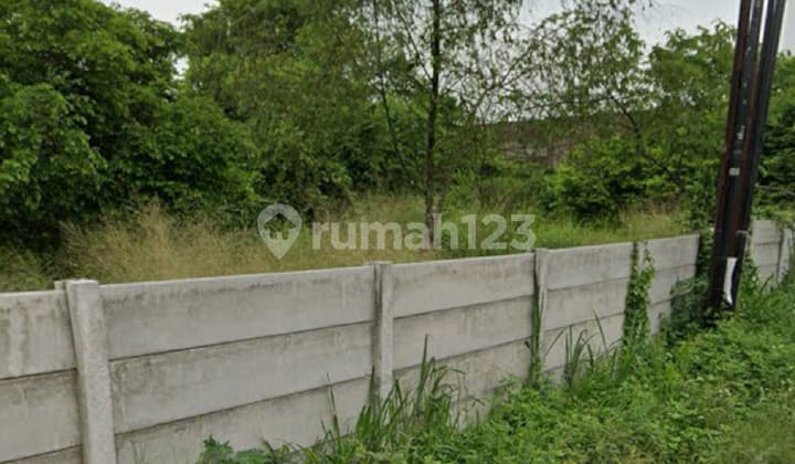 Dijual Cepat Tanah Padat Tigaraksa Kutruk Rancaiyuh Jambe Tangerang