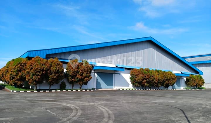 Flood-free, Factory, 1 Floor, Ready to Occupy