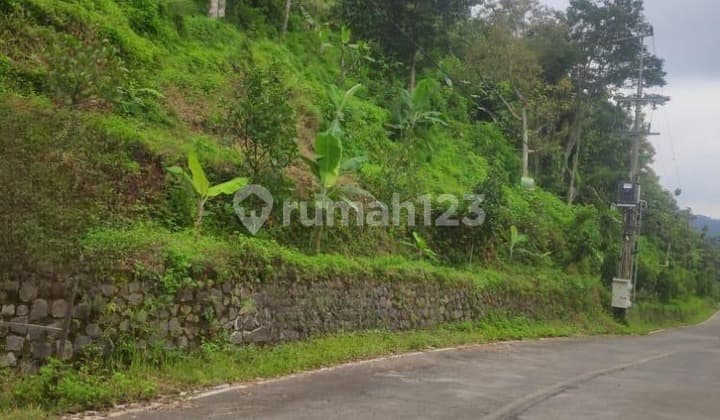 Dijual Tanah Murah Super Strategis di Trawas Mojokerto!