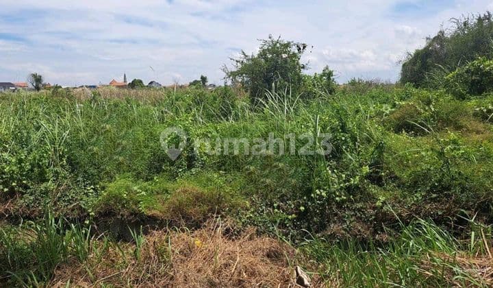 Dijual Tanah Kawasan Industri Di Manyar Gresik Lokasi Strategis