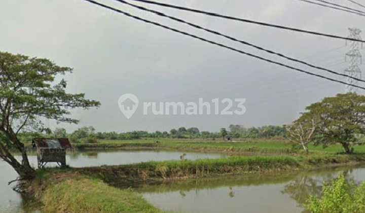 LAND FOR SALE CHEAP ON PANTURA ROAD, SUMARI VILLAGE LAND FOR SALE CHEAP ON PANTURA ROAD, SUMARI VILLAGE