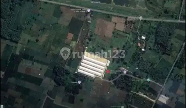For Sale Poultry Farm In Brangsi Village Lamongan Ready to Continue For Sale Poultry Farm In Brangsi Village Lamongan Ready to Continue