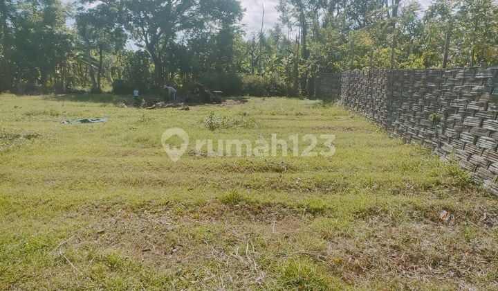 DIJUAL TANAH PEKARANGAN DEKAT KAMPUS DI DESA PLOSOKANDANG TULUNGAGUNG