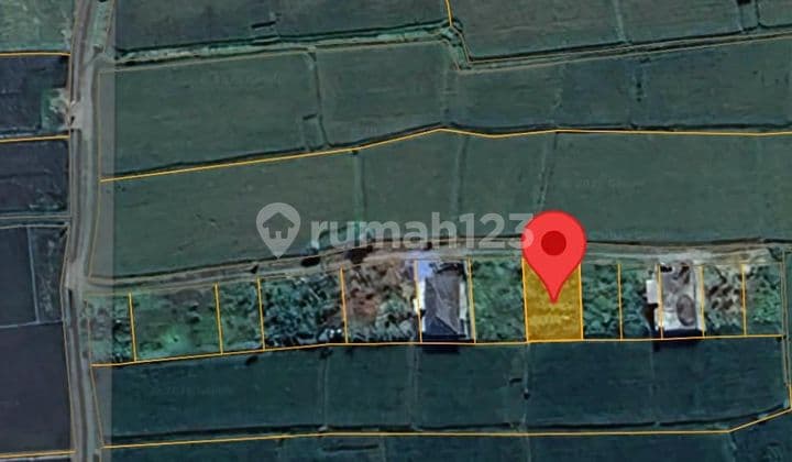 Dijual Satu Unit Tanah Kavling Dekat Bali Zoo Singapadu - Bali