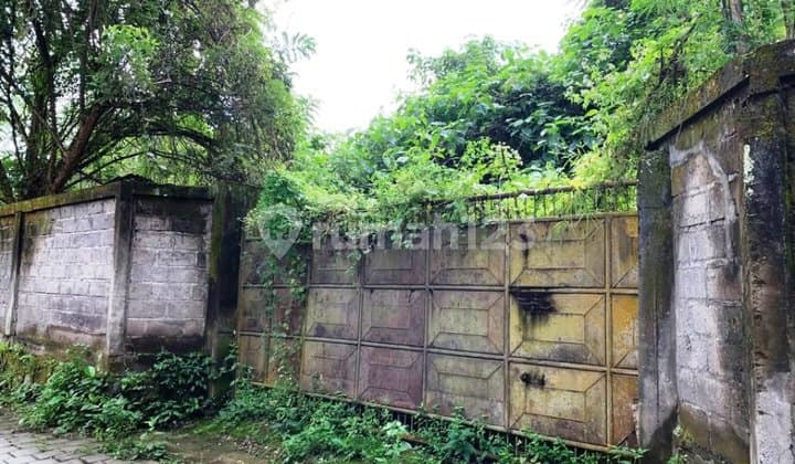 Dijual Tanah SHM 2015 M2 Jalan Andong - Petulu - Ubud - Bali