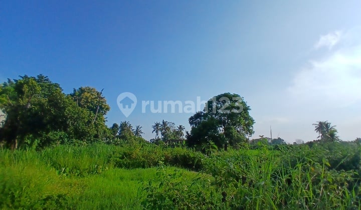Lahan 98 Are Cocok untuk Perumahan atau Kavling di Kota Gianyar - Bali