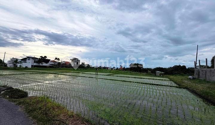 Land For Lease 1600 Sqm Pink Zone In Cemagi - Bali