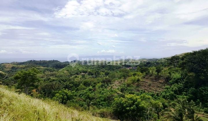 Kavling Nusa Penida Pejukutan Ocean View 500 M2