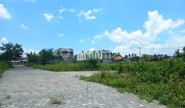 Jual Cepat Tanah Kavling View Sawah di Tabanan Bali