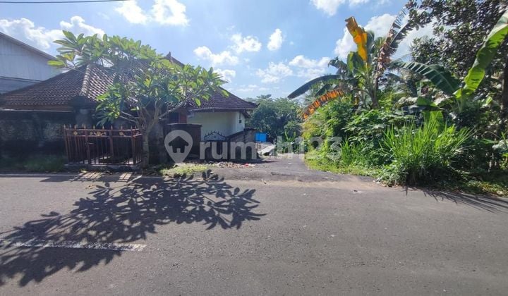 240 m2 Freehold Land, Werdibhuana, Mengwi, Badung