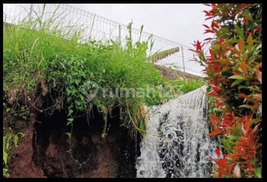 Dijual Tanah 5 Are di Dekat Bedugul - Baturiti - Tabanan