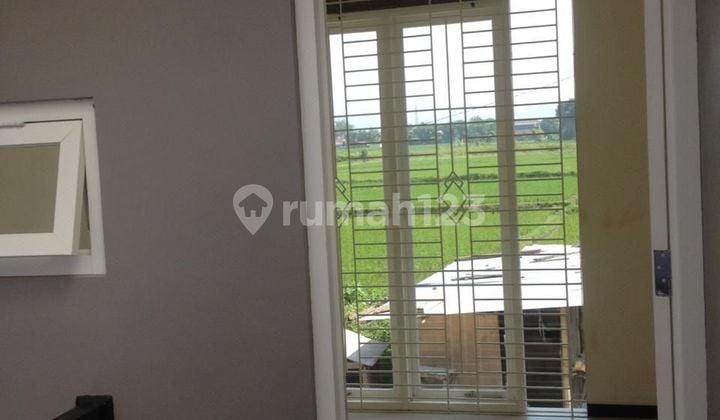 Rumah Kontrakan 4 Kamar Tidur di Waing Lowokwaru Kota Malang