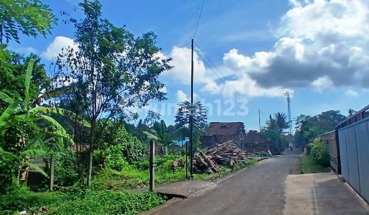Dijual Tanah Luas 500 M2 di Pejaten, Kediri, Tabanan - Bali