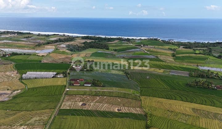 Dijual Tanah Kavling Dekat ke Pantai Kelecung, Tabanan, Bali