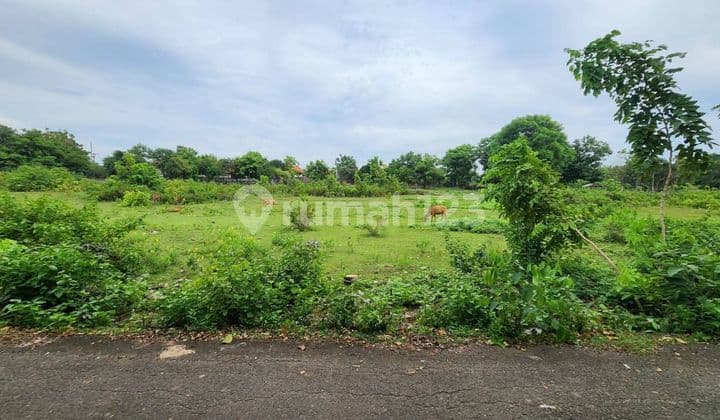 Dijual Tanah Premium 14 Are Zona Pariwisata di Balangan - Bali