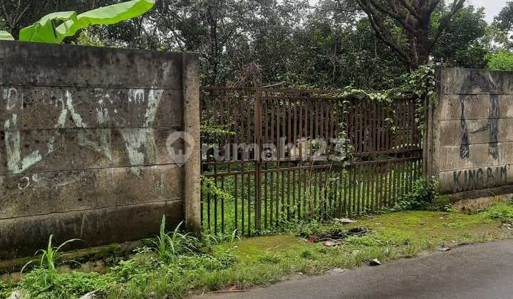 Lahan Kosong Hambalang Cocok untuk Perkebunan