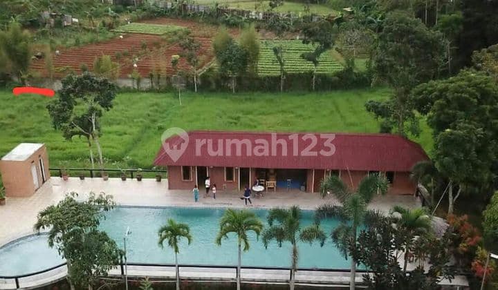 Villa Cantik Terawat View Istimewa Hitung Tanah