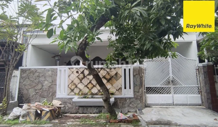 Disewakan Rumah di Sutorejo Timur Surabaya Disewakan Rumah di Sutorejo Timur Surabaya