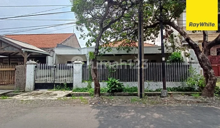 Disewakan Rumah di Jl Ngagel Jaya Utara Surabaya Disewakan Rumah di Jl Ngagel Jaya Utara Surabaya