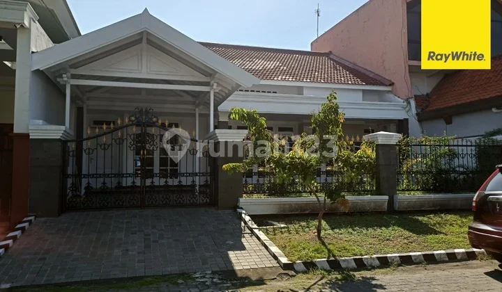 Disewakan Rumah Ketintang Surabaya Disewakan Rumah Ketintang Surabaya
