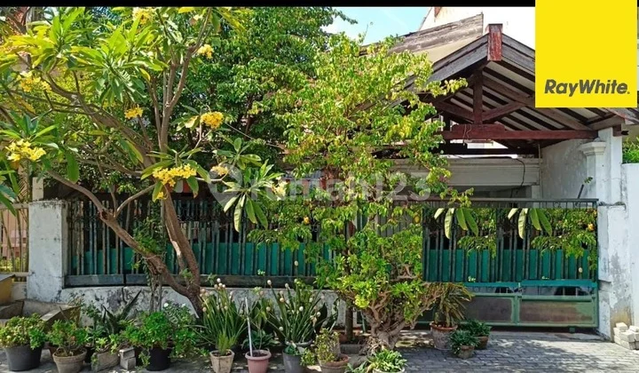 Dijual Rumah 2 Lt di Ngagel Tama Tengah Surabaya Dijual Rumah 2 Lt di Ngagel Tama Tengah Surabaya