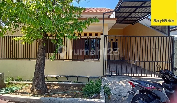 Dijual Rumah di Jalan Pandugo Rungkut Surabaya Dijual Rumah di Jalan Pandugo Rungkut Surabaya