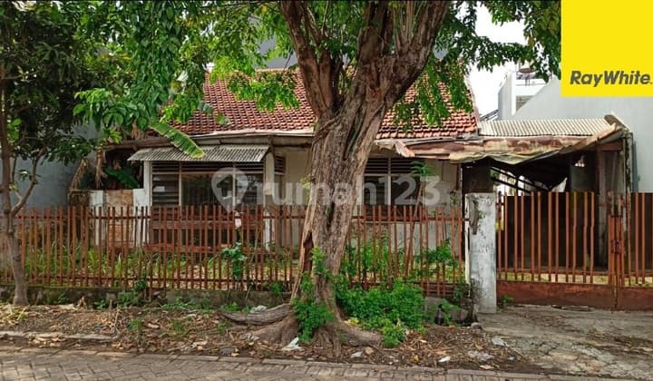Disewakan Rumah di Jl Kendangsari Surabaya