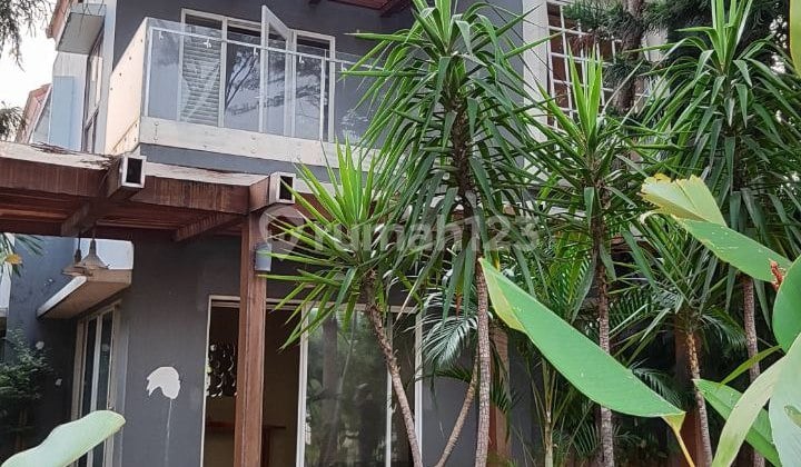 Rumah bagus, siap huni di Jakarta ( NY )