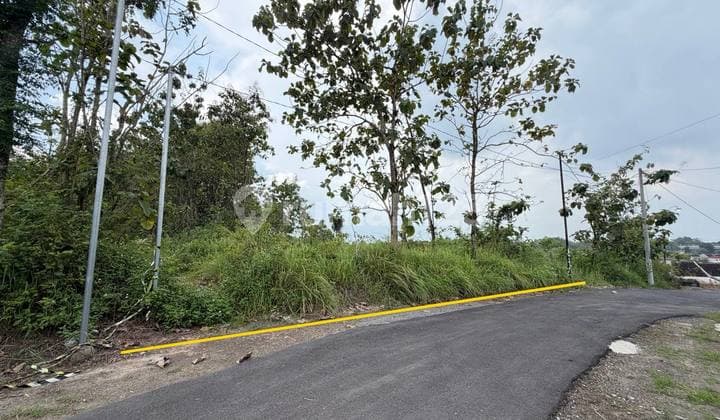 Large Yard Land Suitable for Housing in Gondangrejo