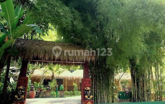Hotel Murah Dan Tanah Luas Di Ubud Bali