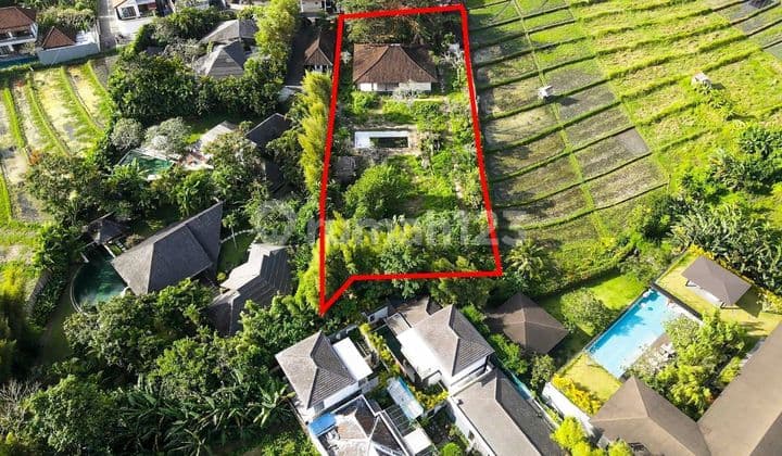 The Rarest Land in Umalas Bali with Rice Field View