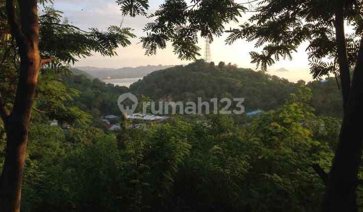 Prime Land Labuan Bajo , View Cantik dan Free Design, Siap Bangun VILLA