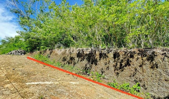 Ocean View Land Near STP Nusa Dua Campus Smart Investment - AFFORDABLE Price