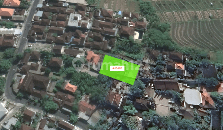 Freehold | 4.87 Are Land In Prime Kedampang, Kerobokan