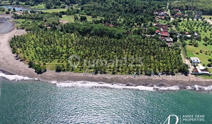 FREEHOLD LAND FOR SALE IN PANTAI MELAYA, JEMBRANA (257 ARE)