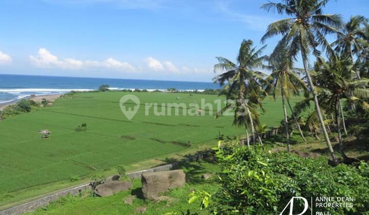 Freehold | Cliffside Ocean View Land Near Medewi Beach - Pulukan, West Bali