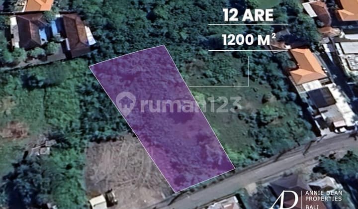 FREEHOLD LAND | SARASWATI SEMINYAK | 1,200 SQM