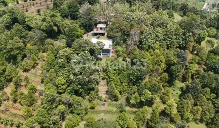 Productive Plantation Land and Villa in Cijeruk.