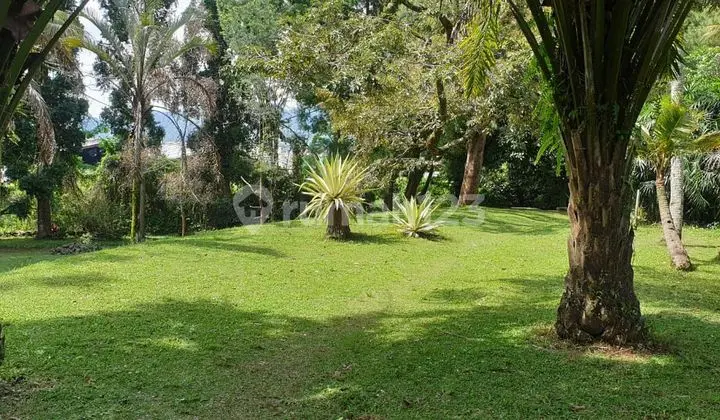 Beautiful, Cheap, and Strategic Land by the Puncak Bogor Highway