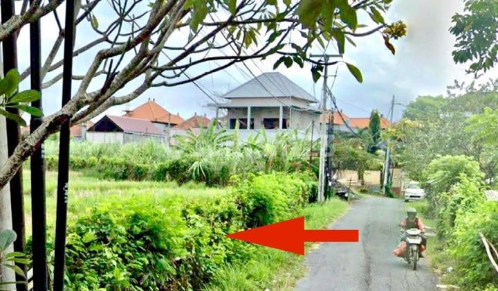 Tanah di Bajataki Gatsu Barat Dekat Jln Induk Cocok Utk Gudang & Hunian Elit