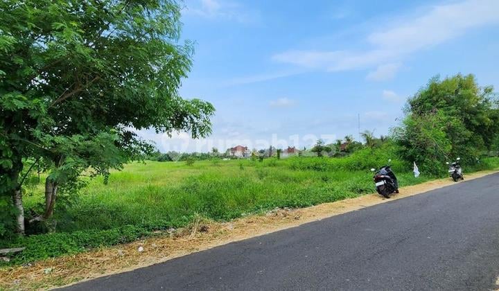 Land in Tourism Zone, Walking Distance to Kelating Beach, Kerambitan, Tabanan