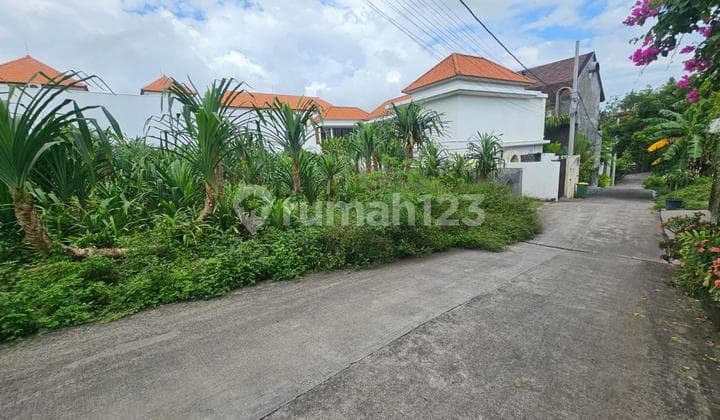 Tanah Plot Kecil di Tumbak Bayuh Perenan Canggu Area Villa