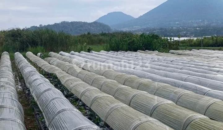 Lake Beratan Bedugul View Hillside Land Tourism Zone